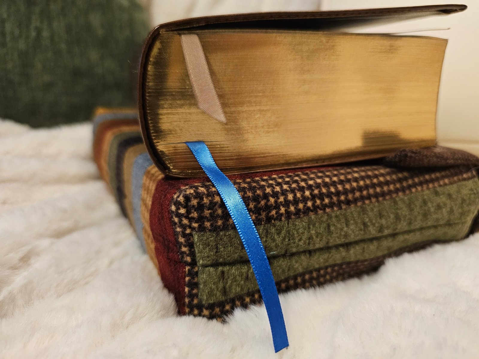 Daily Devotional: Why Does God Allow Pain and Suffering?